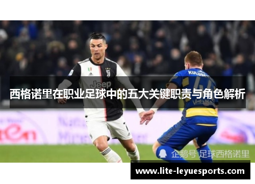 西格诺里在职业足球中的五大关键职责与角色解析