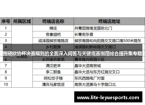 围绕欧协杯决赛规则的全面深入问答与关键观赛指南综合提升集专题